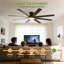 132cm Ceiling Fan with LED Lights-1030363892