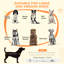 Furniture Style Crate with 2 Doors-108045892