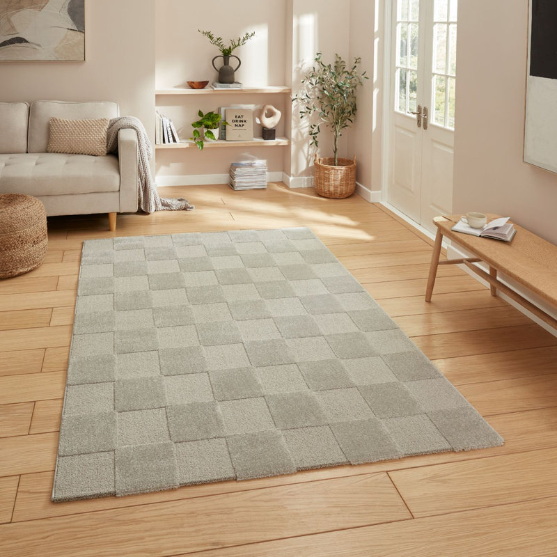 Elio Arvillia Machine Woven Silver Area Rug, Rectangle 160 x 230cm