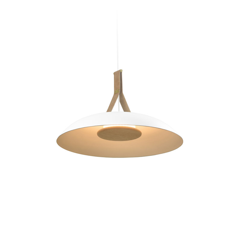 Volo 24" LED Pendant, Blanc, 3000K