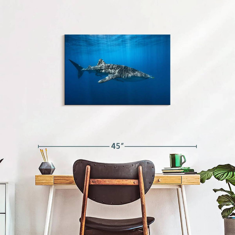 Brampt Whale Shark In The Blue, 20" H x 30" W