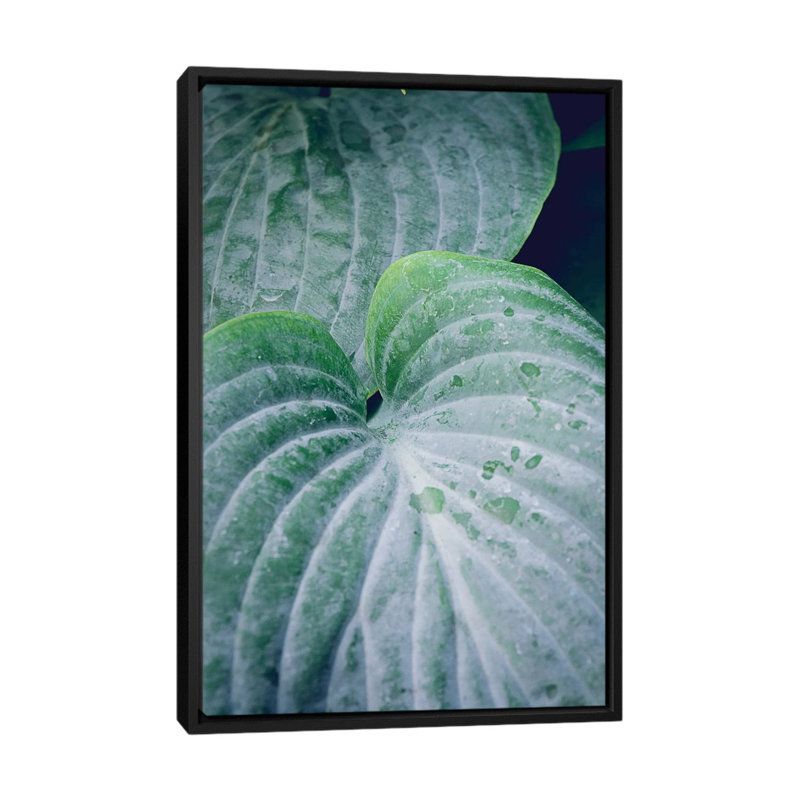« feuilles iii », reproduction d’impression sur toile, H 26 po x l 18 po x P 1,5 po, Toile avec cadre noir, Pas de tapis