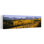 Arbres dans un champ près d'une clôture en bois, fracture de Dallas, montagnes San Juan, Colorado, États-Unis, art contemporain de paysage forestier abstrait