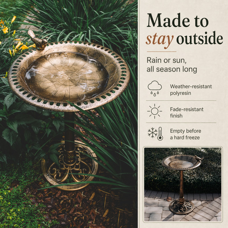 Aderes Resin Birdbath, Bronze