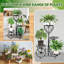 Support pour plante Mirmande