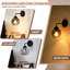 1-Light Black Armed Sconce