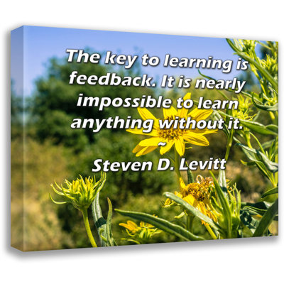 ArtsyQuotes Gallery Wrapped Canvas By Steven D. Levitt: "The key to learning is feedback. It is nearly impossible to learn anything without it."