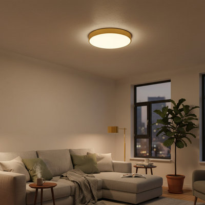 15" Gold LED Ceiling Light, Round LED Flush Mount