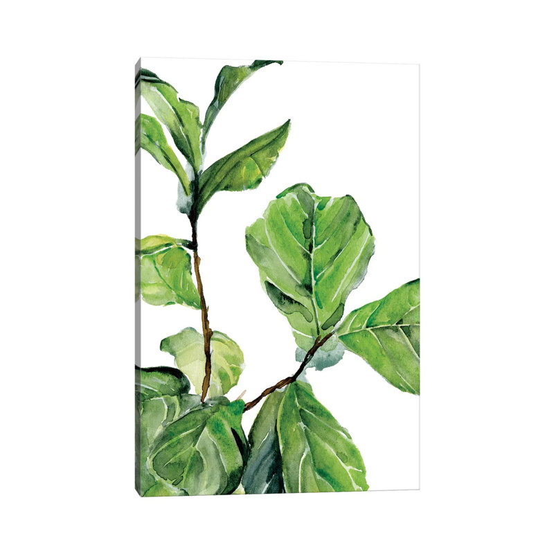Fiddle Fig II by Jennifer Paxton Parker - Wrapped Canvas Gallery-Wrapped Canvas Giclée, 66.04 cm H x 45.72 cm W