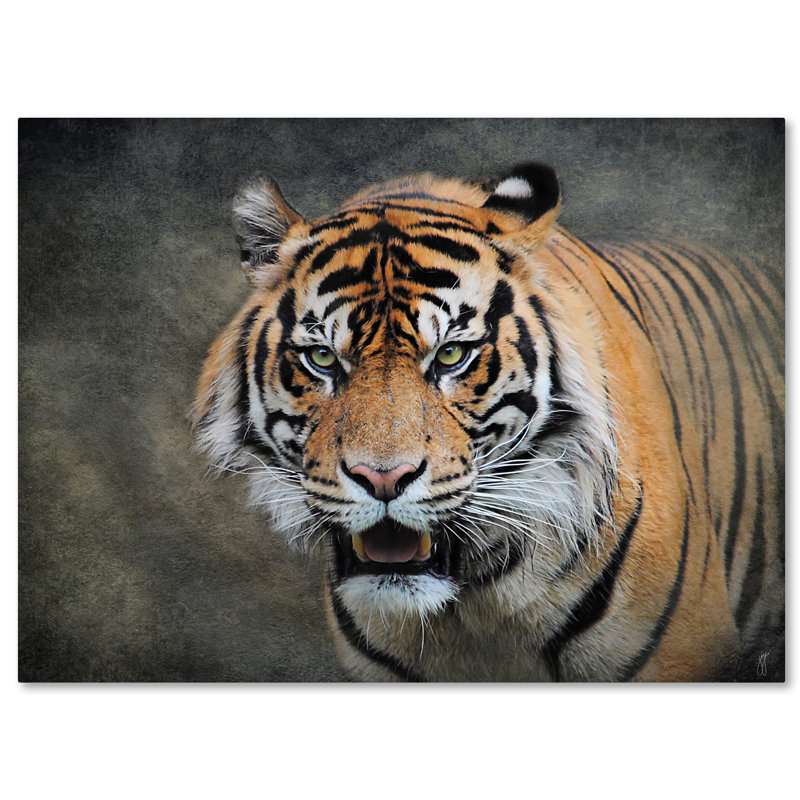 Vidur «Bengal Tiger», reproduction d'impression sur toile tendue, H 35 po x l 47 po
