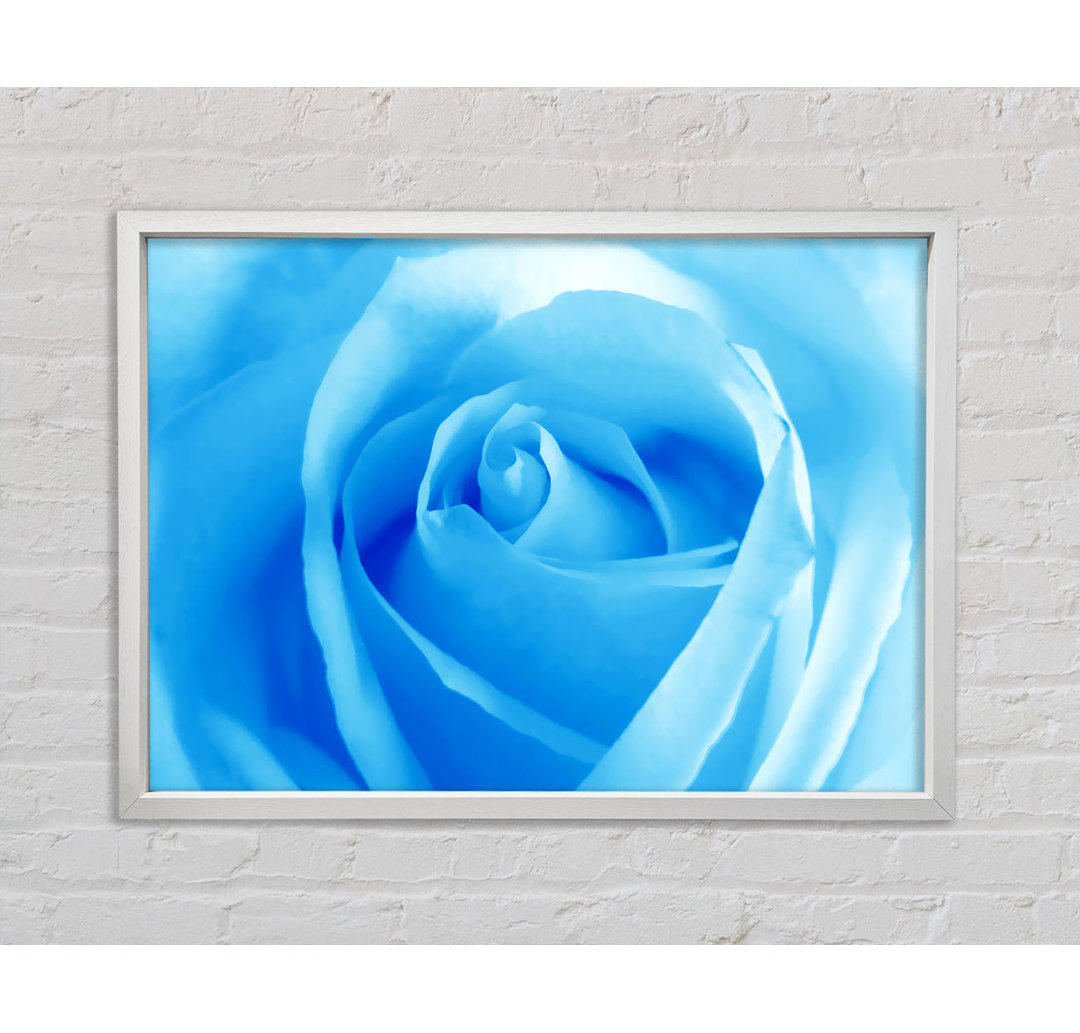 Baby Blue Rose Gerahmter Druck