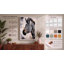 Zebra Profile Boho - Print-136706100-136706097