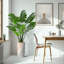 Arbre artificiel dans un pot de fleurs moderne, décoration d'arbre en soie artificielle Monstera (pot et arbre)-141567789-156323608