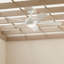 Ventilateur de plafond DEL standard à 5 pales 56 po avec télécommande et ensemble d'éclairage inclus Chilchinbito-675263259