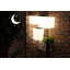 Applique murale d'extérieur solaire 7 "Wally Dusk to Dawn Wally