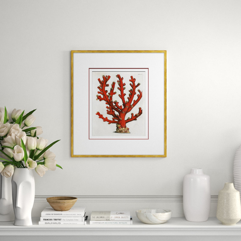 Coral In Red 5 Giclee Print by Dana Gibson