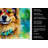 Hippie Dawg Kitchen Towel