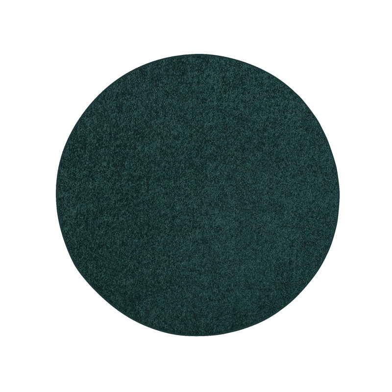Modern Plush Pet and Kids Friendly Solid Color Area Rugs, Stain & Fade Resistance, Bedroom, Playroom and Kidsroom, Event, Wedding, Perfect for Living Room, Dining Room, Forest Green Rug