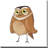 " Kids Owl "-788633172-788633174