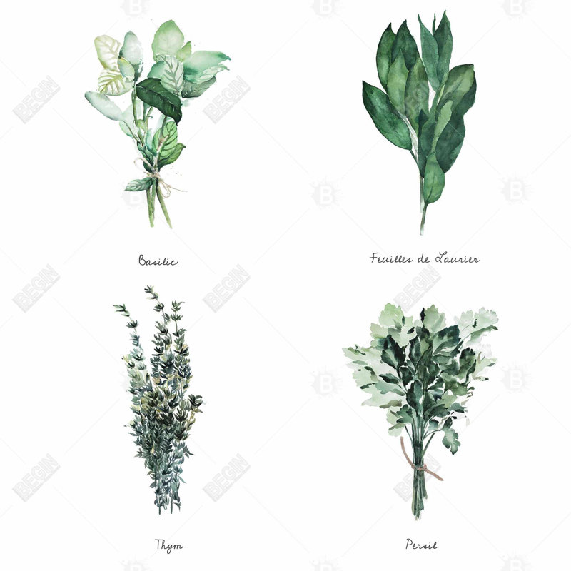 " Fines Herbes "