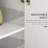 Storage Cabinet with Adjustable Shelf