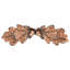 Leaves Novelty Pull-9086555