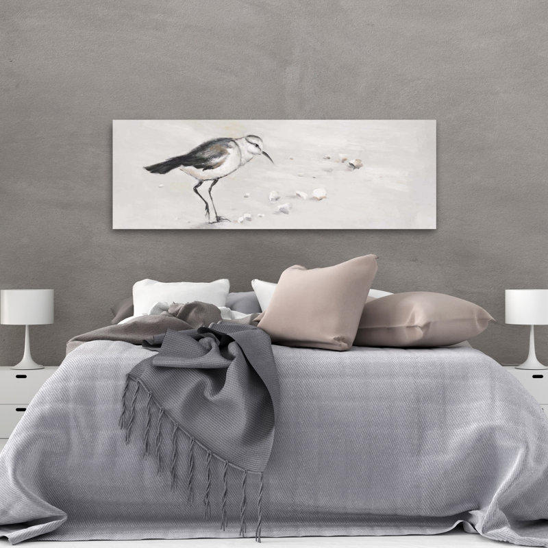 Bécasseau semipalmé - Toile côtière blanche