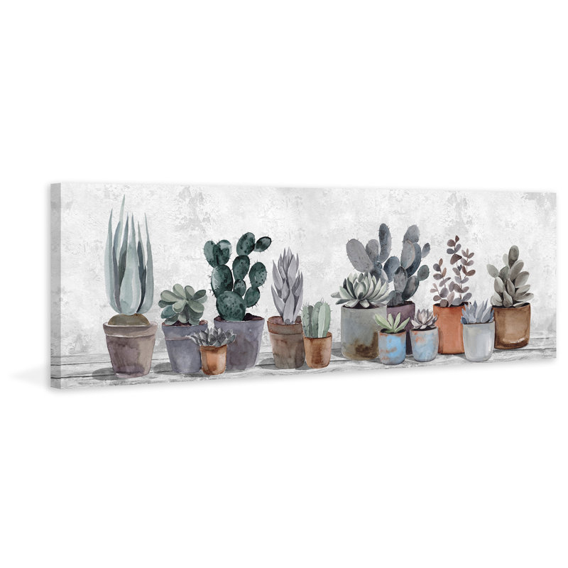 Succulent Collection by Latitude Vive - Wrapped Canvas Painting, 41cm H x 122cm W x 3.81cm D