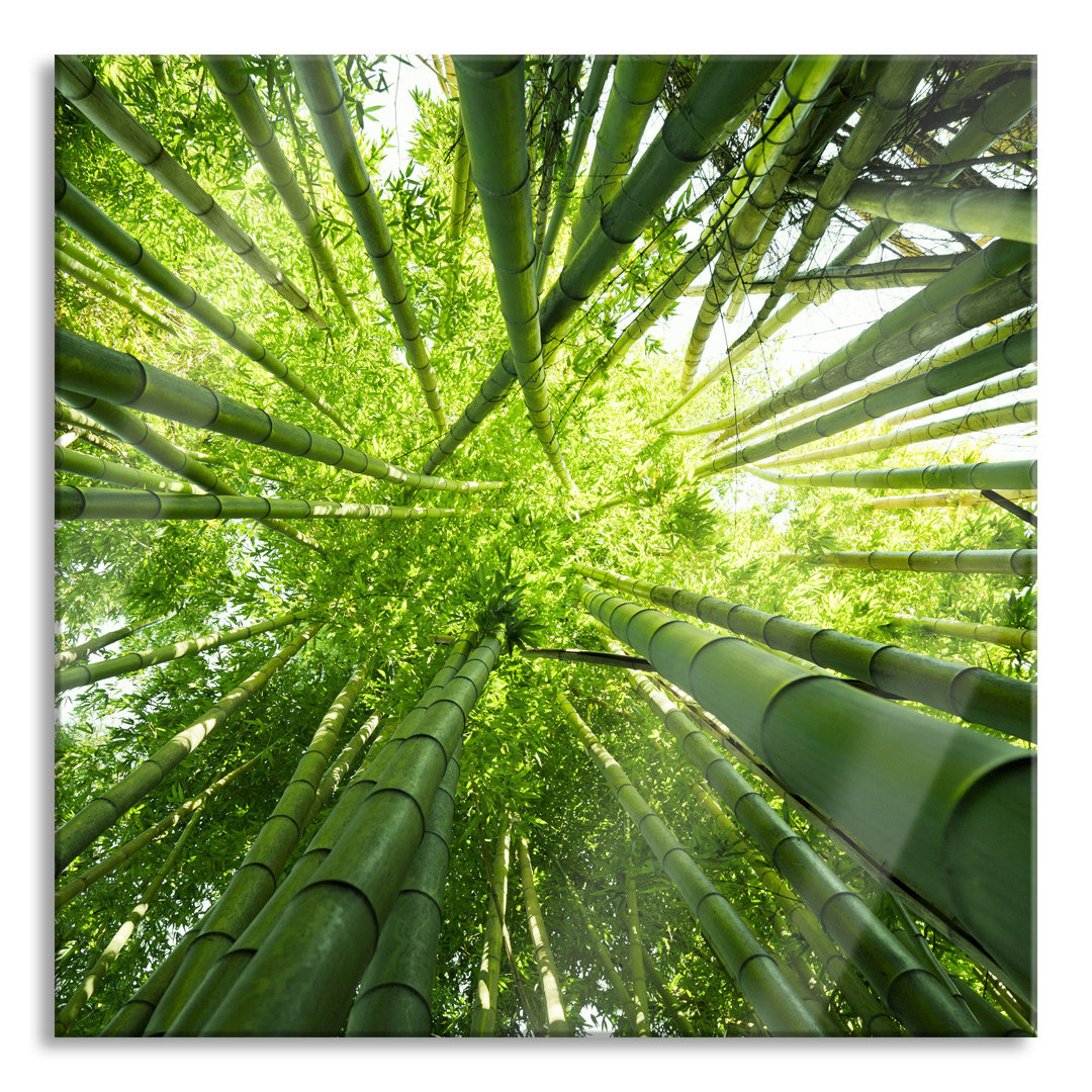 Glasbild Green Bamboo