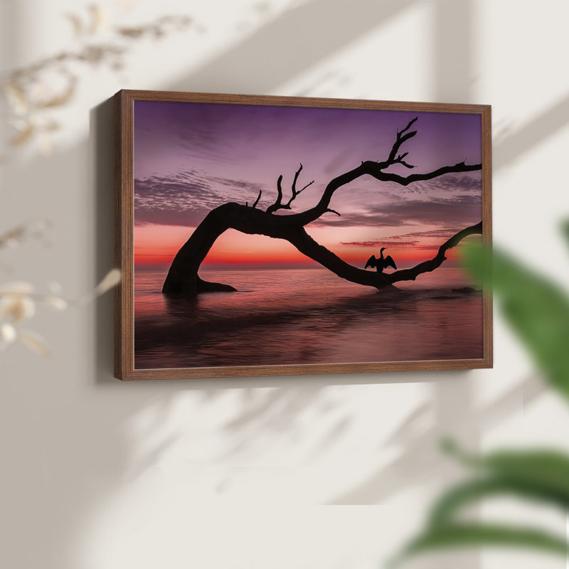 Photographie, étude de coucher de soleil, plage, reproduction encadrée, H 22 po x l 28 po, Noyer