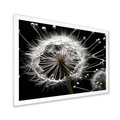 «White Black Dandelion Whispers II», impressions murales florales