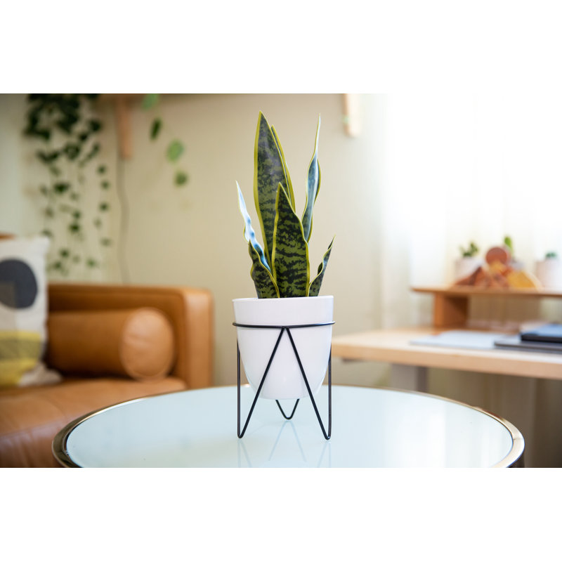 Plante artificielle 15,25 po en pot