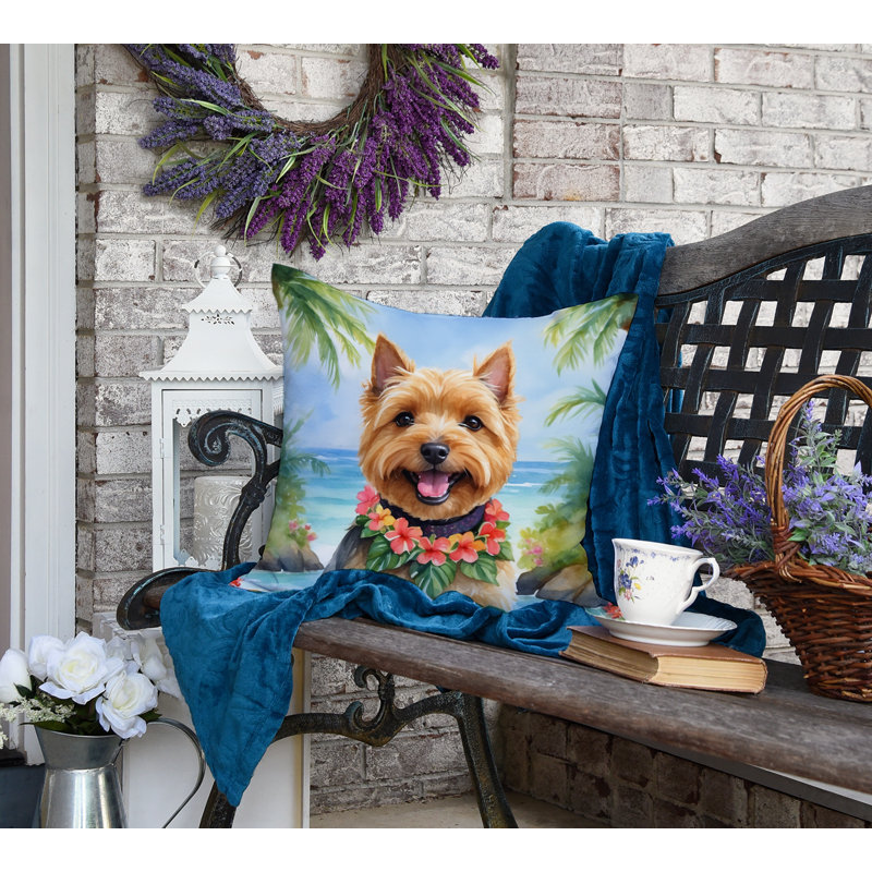 Other/No Pattern Outdoor Throw Pillow, 18"H x 18"W