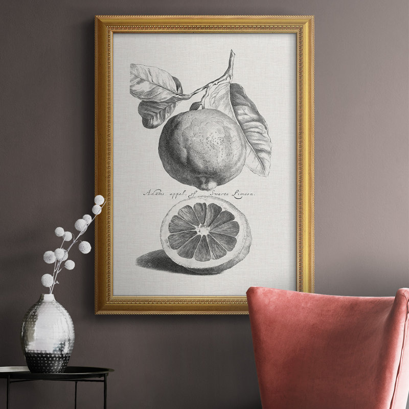 Antique citrons et oranges IV, toile encadrée de qualité supérieure - prête à être accrochée, H 20 po x l 16 po x P 2,5 po