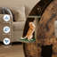 4-in-1 Indoor Cat Exercise Wheel, Quiet Large Running Wheel with Scratching Pad and Play Roller for Active Cats-548497813-548497814