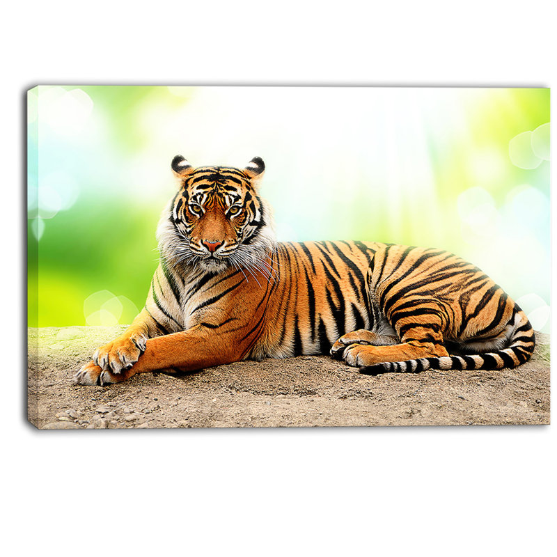 « relax tiger », reproduction de photo sur toile tendue encadrée, H 12 po x l 20 po x P 1 po, Toile tendue avec châssis