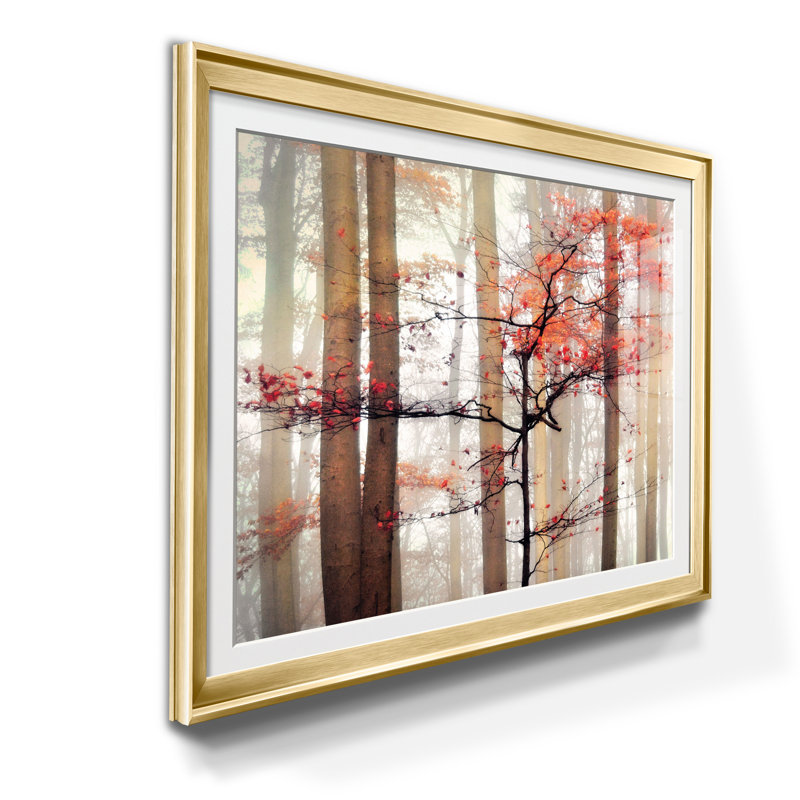 Awakening - Cadre photo, impression sur papier, H 18,5 po x l 24,5 po x P 1,5 po, Doré