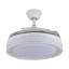 Borowski 42'' Ceiling Fan with LED Lights