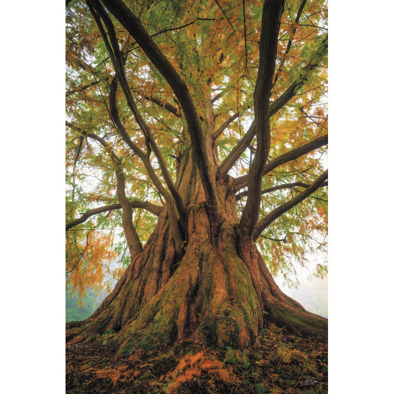Arbre à tentacules, H 30 po x l 20 po