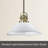 3.5 in. H Glass Bowl Lighting Shade