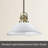 3.63'' H Glass Bowl Glass Shade
