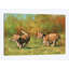 « lion oursons running », impression sur toile-33109554-72400878-72400872