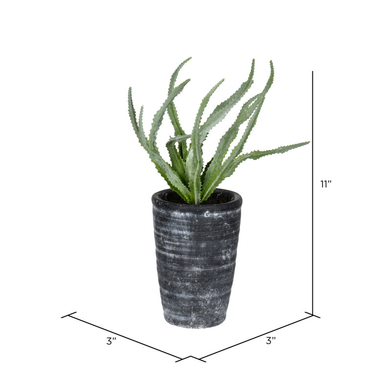 Plante artificielle en pot Hawortha