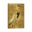 Gold Crane At Dusk I - Floater Frame Print on Canvas-1545041875-1572203979