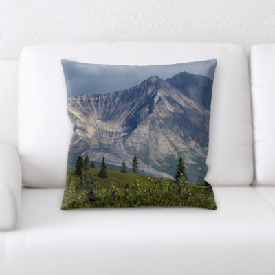 Microsuede Throw Pillow