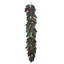 Christmas Magnolia With Berry Cone Garland