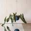 Stainless Steel Hanging Plant Pot-2077731209-2077731253