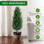 110cm Plant-1349848051