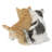 Kittens Sitting Together