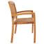 Arlogh Solid Wood Teak Outdoor Bench-885236188